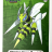 greenbeedrill888